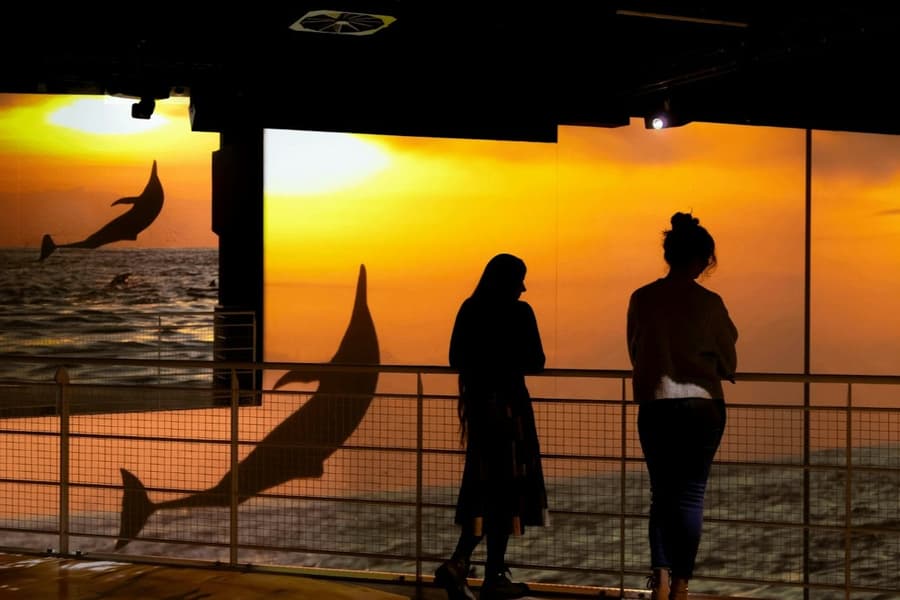 Port des Lumières: Ocean Wonders - An Immersive Dive Entry tickets at Port des Lumières