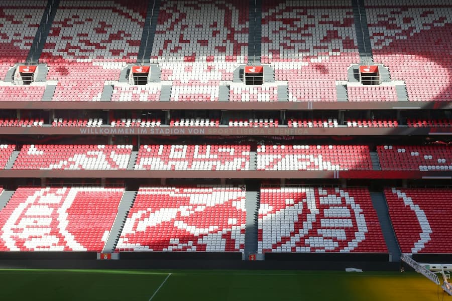 Estádio da Luz & Benfica Museum: Entry Ticket + Scarf Offer, at Benfica Stadium & Museum