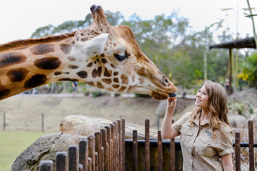 Von Brisbane: Australia Zoo, Mooloolaba Beach & Surfclub-Tour mit Mittagessen & Getränken, Brisbane