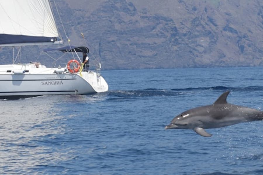 Tenerife: Tur cu barca de 3 ore către Los Gigantes cu snorkeling, băuturi și tapas, at Tenerife Sailing Tours, Costa Adeje
