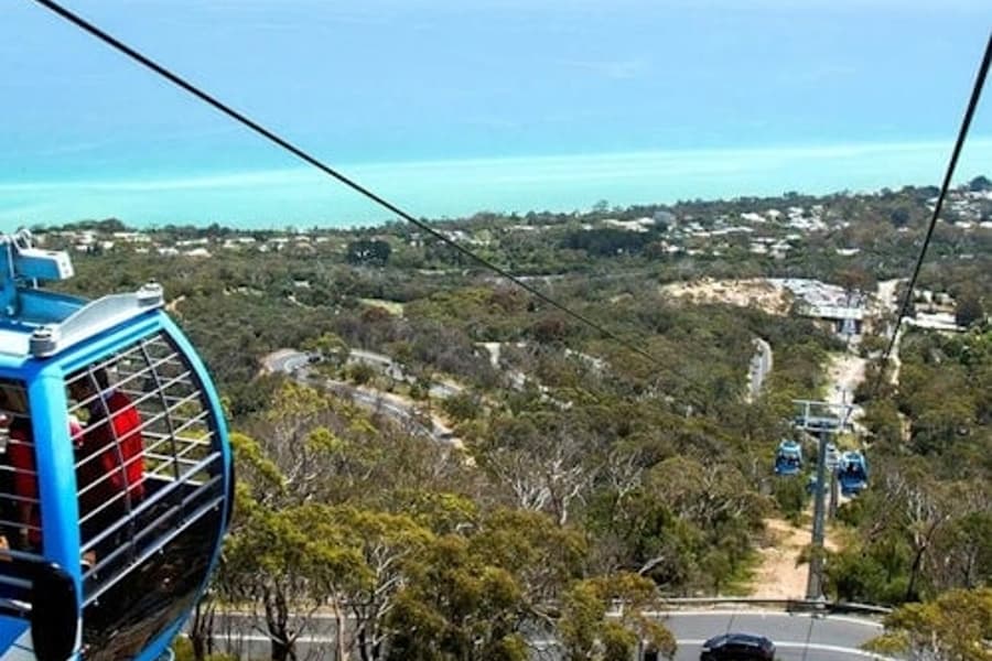Mornington Peninsula: Arthurs Seat Eagle Gondola Ticket, at Arthurs Seat Eagle