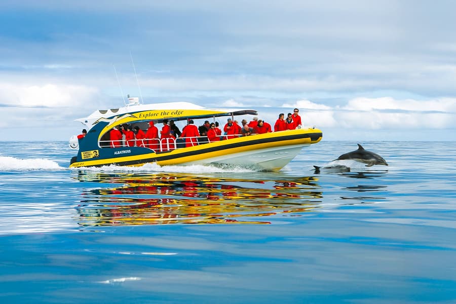 From Hobart: Bruny Island Full-Day Bus Tour with Eco Wilderness Cruise, Hobart