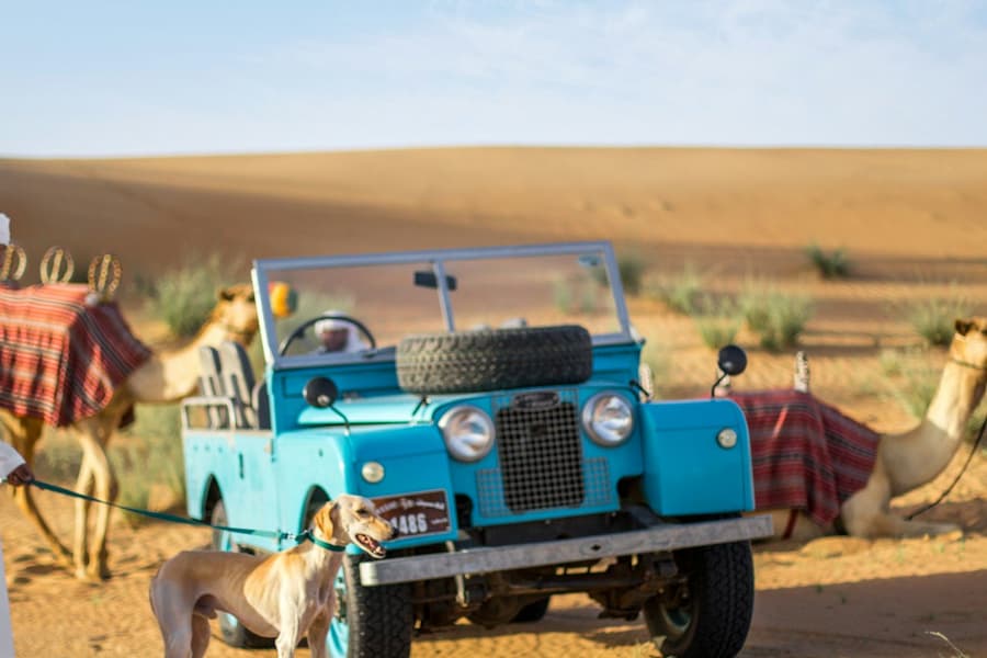 Dubai: Bedouin Culture Safari + Transfers + Breakfast, at Dubai Desert Safari