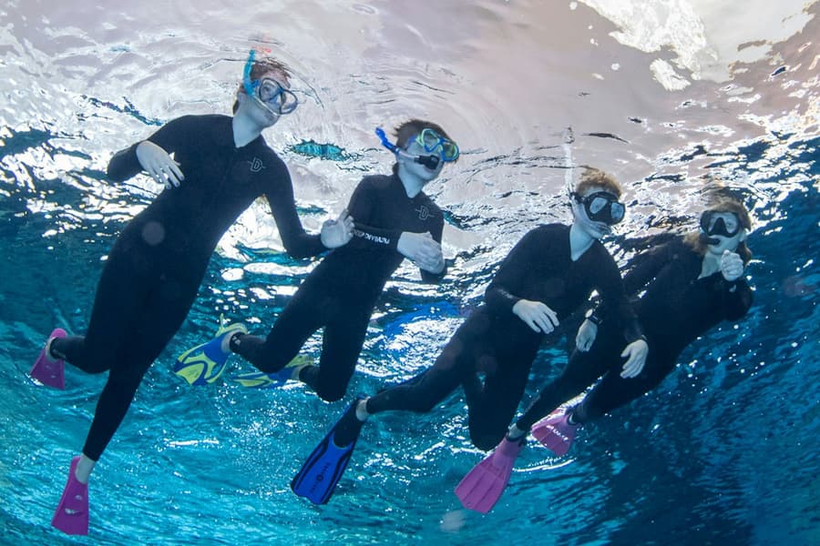 Snorkeling at Deep Dive Dubai, at Deep Dive Dubai