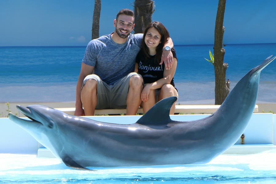Zoomarine Roma: Reserved Entrance with Dolphins Experience, at Zoomarine