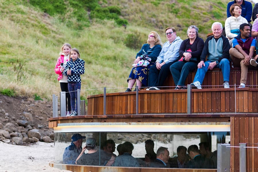 Billets pour la Parade des Pingouins aux Phillip Island Nature Parks, at Phillip Island Nature Parks, Melbourne