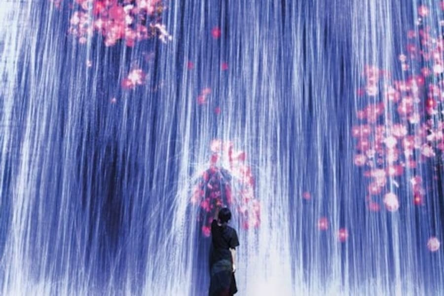 Experiența de Artă Imersivă Superblue Miami cu teamLab, at Superblue Miami, Miami
