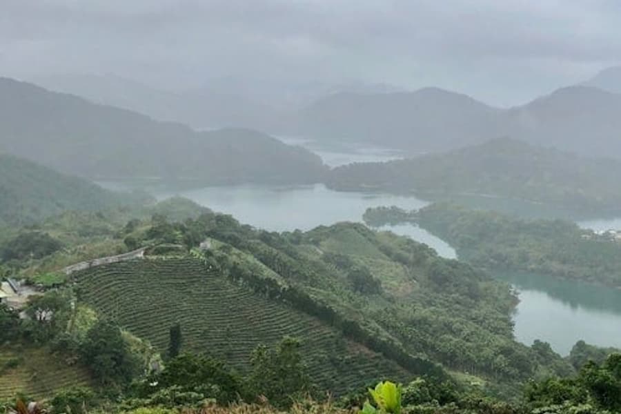 Pinglinin tee kulttuuri & Maokong: Opastettu päiväretki Taipeista + Gondoli-matka, Taipei