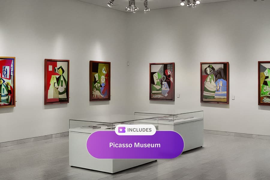 Articket Passport: Admission to 6 Museums with Guaranteed Slot at Picasso Museum, at Barcelona, Spain