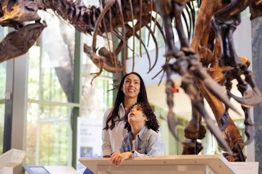 Witte Museum: Entry Ticket, San Antonio