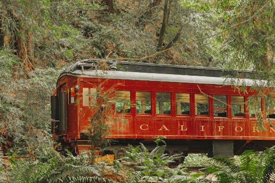 Skunk Train: Wolf Tree Turn, at Skunk Train: Willits, Willits