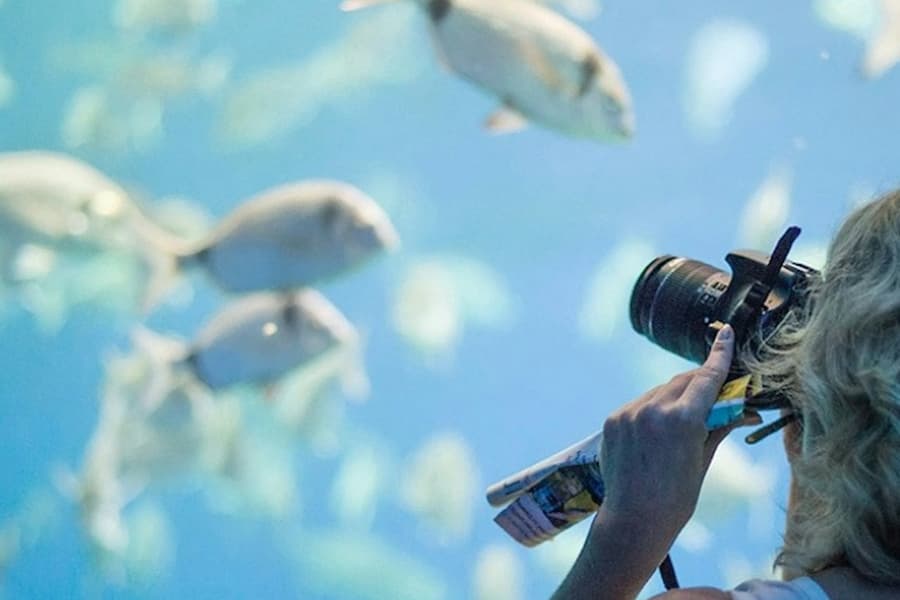 Palma Aquarium: Entry Ticket + Transfer from North, at Palma Aquarium, Palma de Mallorca