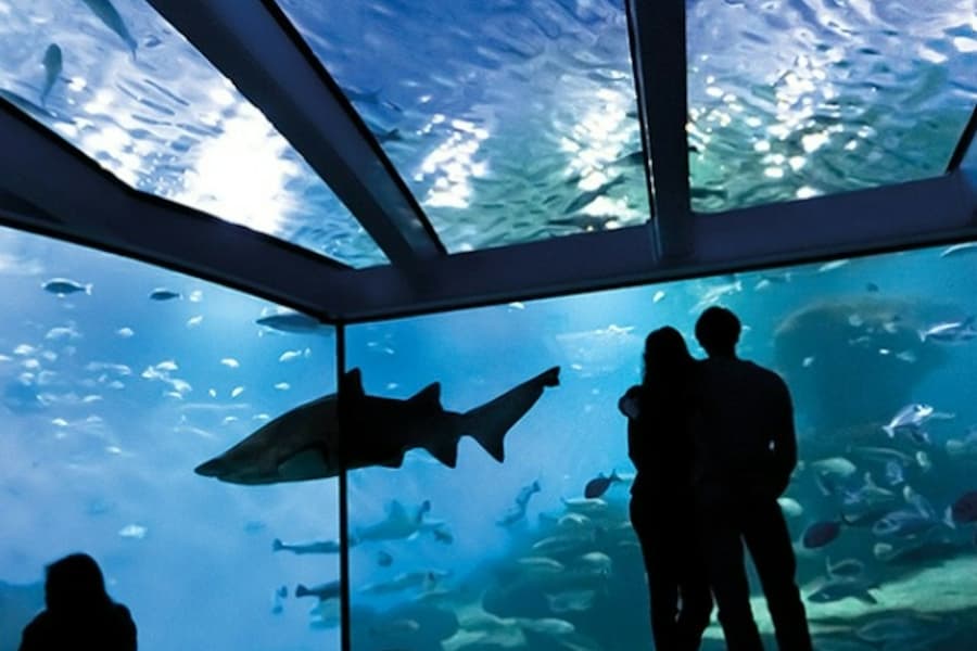 Palma Aquarium: Entry Ticket + Transfer from Cala Ratjada Area, at Palma Aquarium, Palma de Mallorca