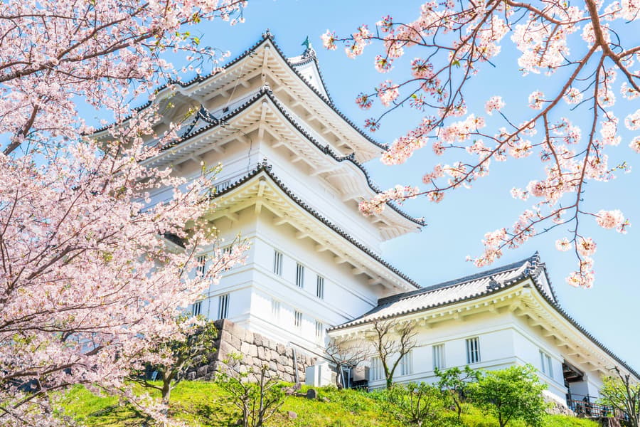 Odawara Castle Entry Tickets, at Odawara Castle