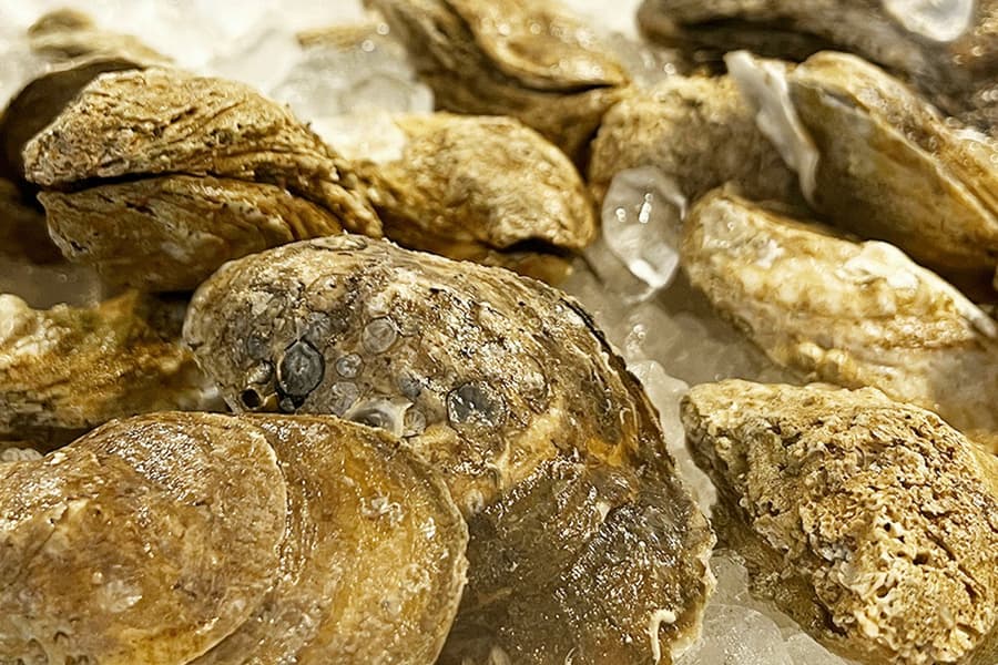 Southern And Secret Savannah: Food Tour, Savannah