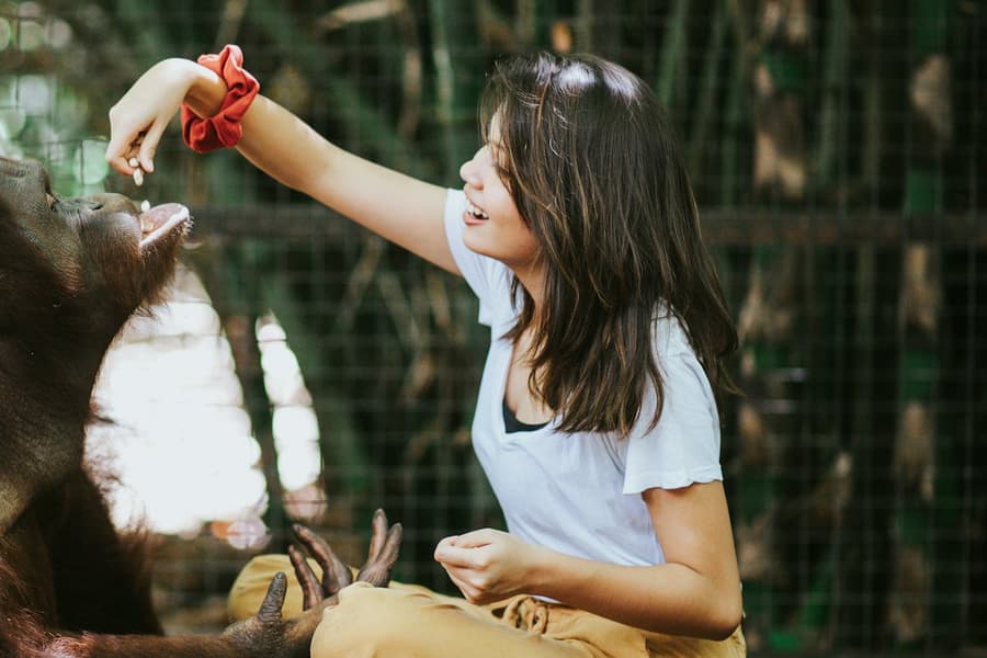 Lombok Wildlife Park: Intimate Wildlife Experience, at Lombok Wildlife Park, Tanjung