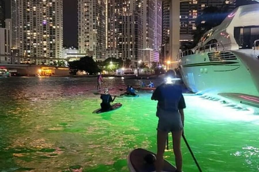 Miami: City Lights SUP or Kayak Night Tour, at Miami Water Activities