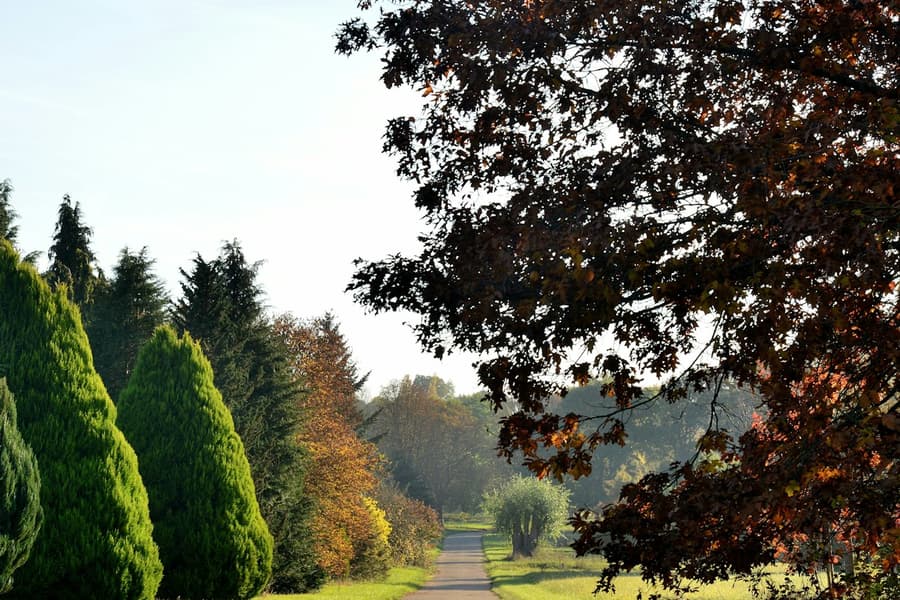 Arboretum de Chèvreloup: Entry Ticket, at Arboretum de Chèvreloup, Rocquencourt