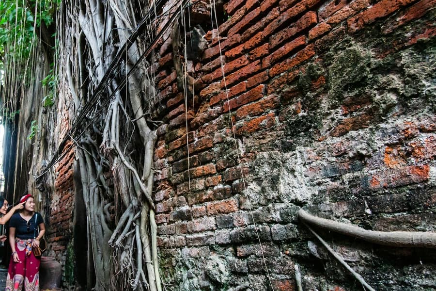 Chinatown Bangkok: Private Walking Tour + Food & Drinks, at Bangkok Walking Tours