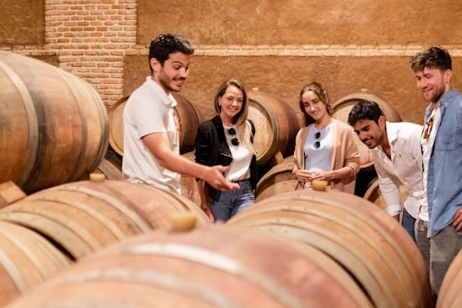 Toledo: City & Winery Tour from Madrid + Wine Tasting