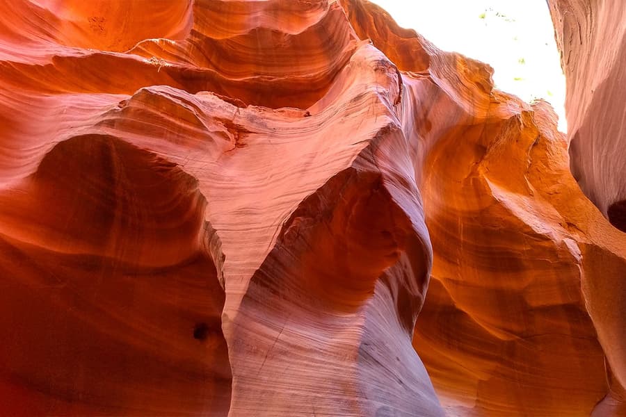 Fra Las Vegas: Antelope Canyon & Horseshoe Bend Rundvisning, Las Vegas