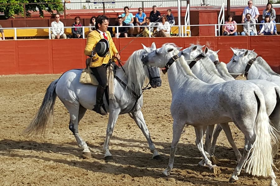 Las Lagunas de Mijas: Evening Equestrian Show + Hotel Transfer, Las lagunas de mijas