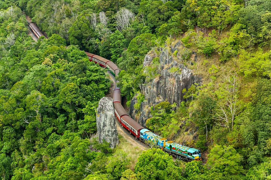 From Cairns: Scenic Train, Skyrail, & Hartley's Crocodile Adventures, Cairns
