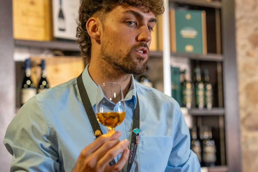 Porto City Tour Half-Day: Guided Visit with Wine Cellar and Tastings, at Porto City Tours