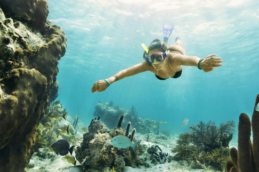 Cancún: MUSA Underwater Museum, Jungle Speedboat & Snorkel Tour, Tulum