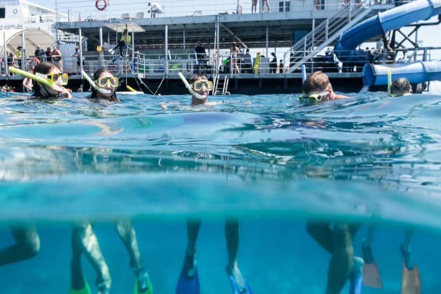Moore Reef: Pontoon Tour from Cairns + Lunch + Snorkeling tickets at Cairns Cruises & Boat Tours