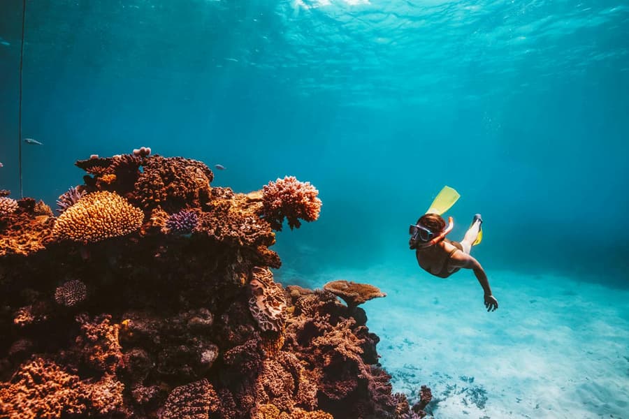 From Cairns: Dreamtime Dive & Snorkel Experience Tickets, Cairns