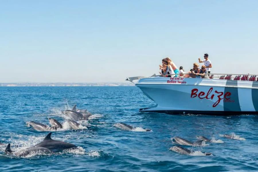 Benagil & Dolphin Watching: Catamaran Tour from Albufeira, at Albufeira Cruises, Albufeira