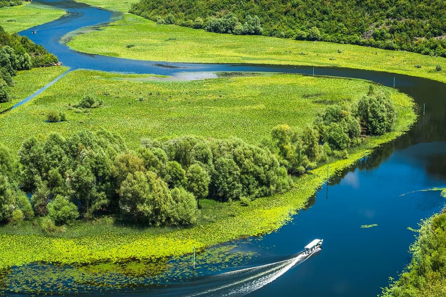 From Kotor/Budva/Tivat/Herceg Novi: Lake Skadar & Biograd Day Trip with Boat Ride, Kotor