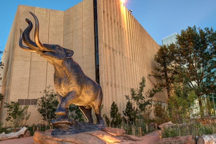 Denver Museum of Nature & Science: Entry Ticket, Denver