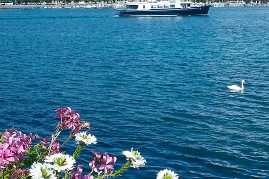 જિનેવા બોટ-tour, Geneva