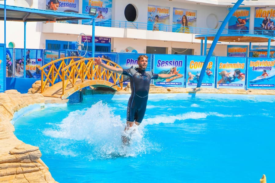 Hurghada Ultimate Dolphin Experience with Dolphin Show, Swimming Experience & Photo Session with Transfers, Hurghada