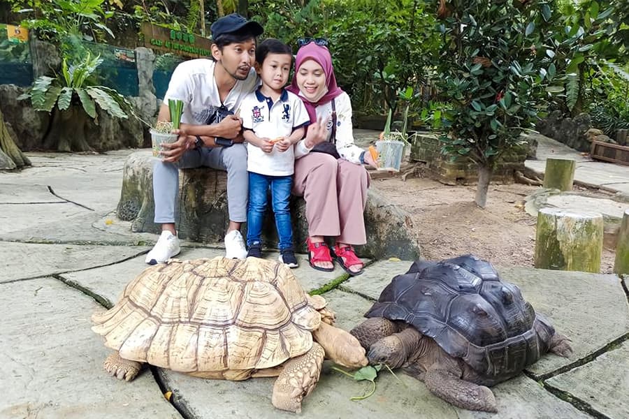 Farm In The City Tickets, at Farm In The City, Selangor