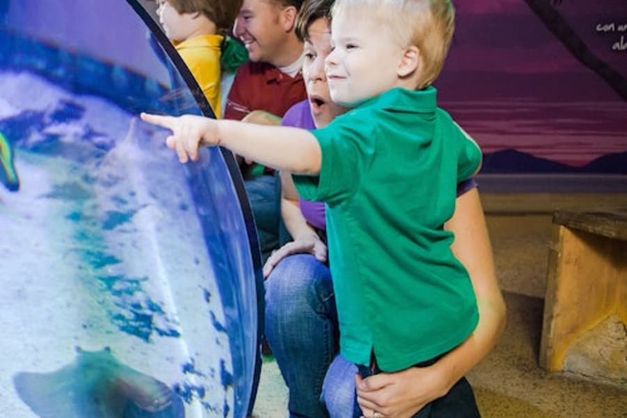 San Antonio Family Fun Pass, San Antonio