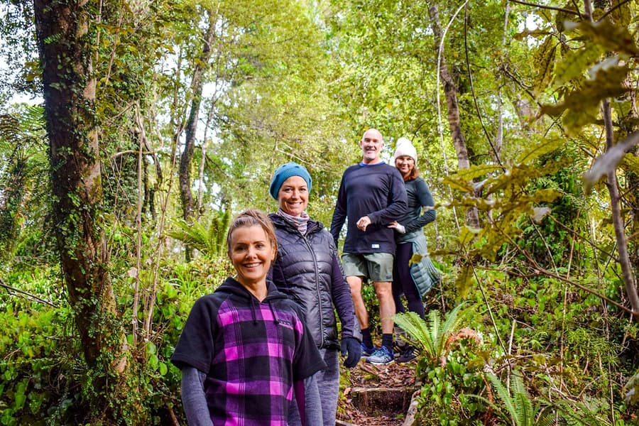 Franz Josef Scenic Cruise & Guided Rainforest Walk, Franz Josef