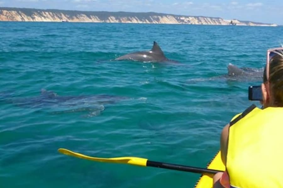 Noosa: Day Tour with Dolphin View, Sea Kayak & Beach 4x4 Adventure, at Fraser Island, Hervey Bay