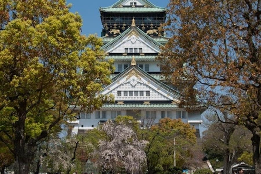 Kasteel Osaka: Geleide Wandeltour, Osaka