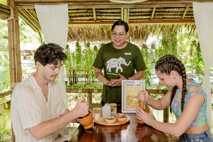 Khaolak Ethical Elephant Sanctuary: Guided Tour + Transfer + Thai Workshops, Khao Lak