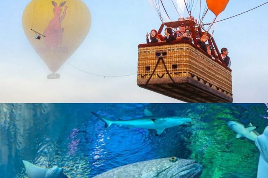 Cairns: Hot Air Balloon Flight + Transfer + Snacks + Optional Activities, at Cairns Aviation Activities