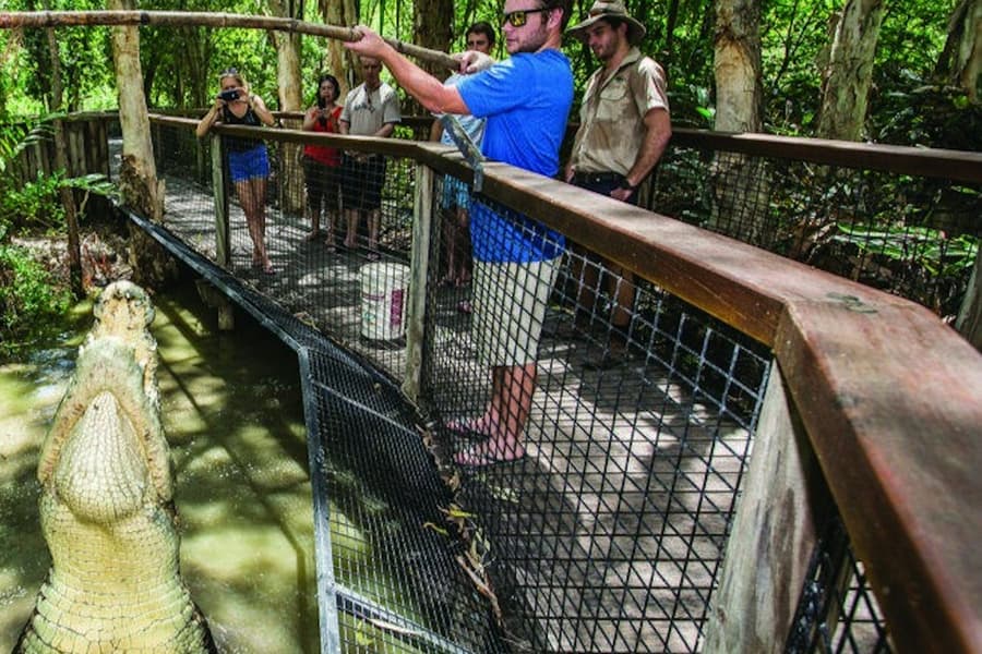 Hartley's Crocodile Adventures: Entry Ticket, at Hartley's Crocodile Adventures, Wangetti