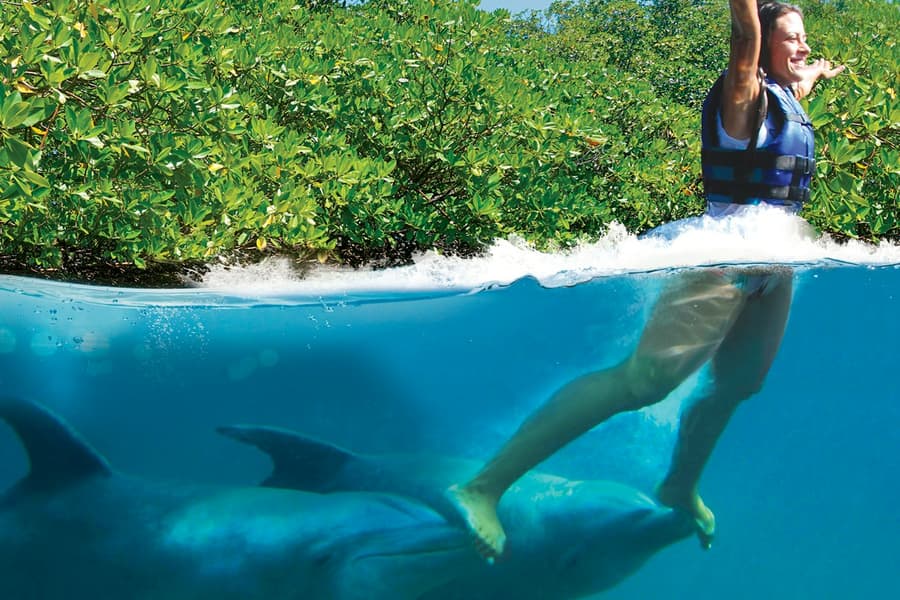 Delphinus Xcaret: Entry Ticket + Transfers + Swim with Dolphins, at Delphinus Xcaret, Tulum