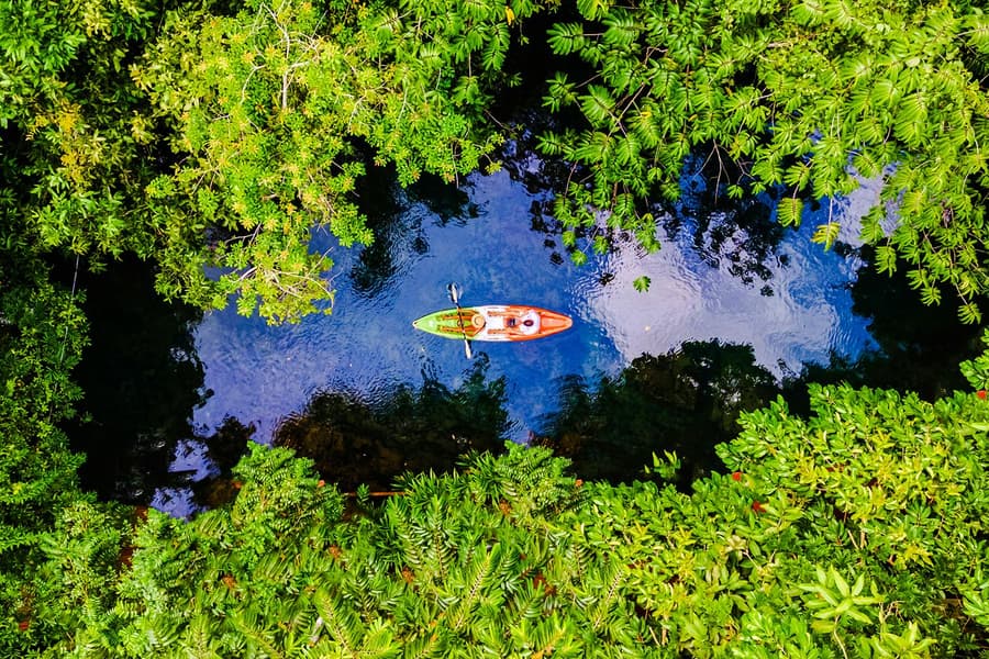 Krabi: Kayak Adventure through Ao Thalane Mangrove Forest, Krabi