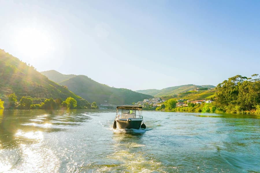 From Pinhão: Douro Valley Boat Tour with Wine Tasting and Lunch, Porto