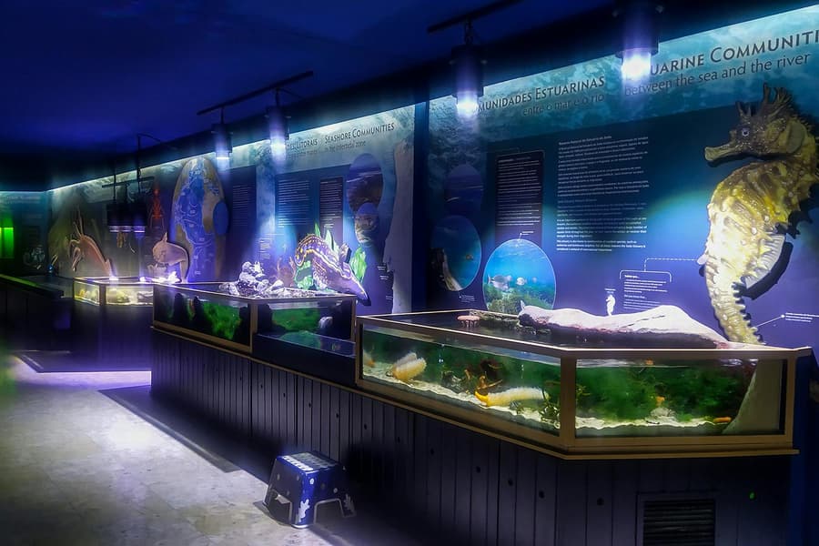 Tickets to Vasco da Gama Aquarium in Lisbon, at Vasco da Gama Aquarium, Lisbon