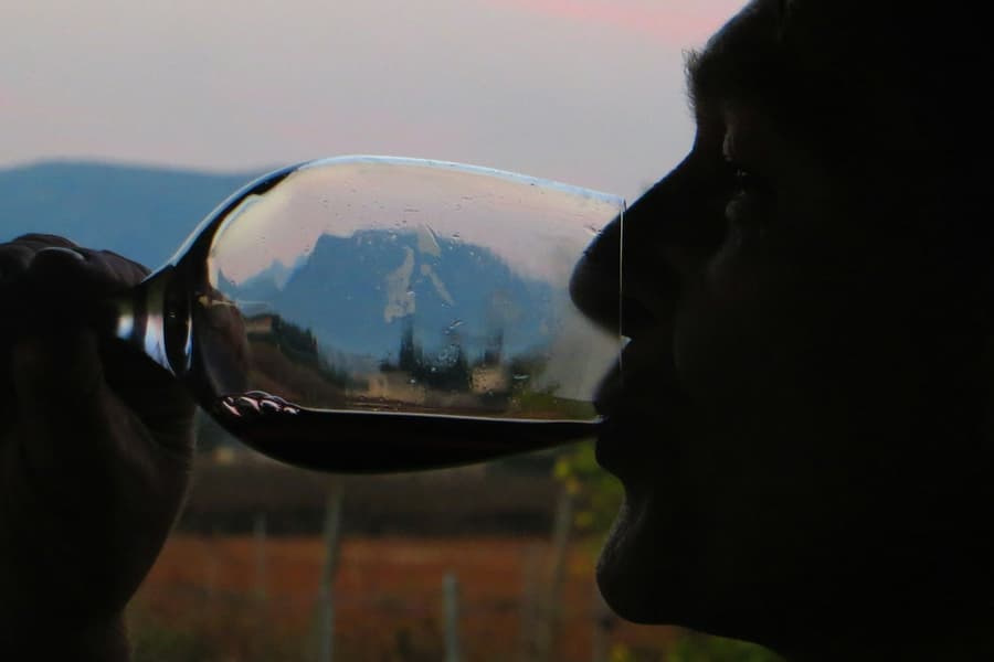 Mallorca: Guided Winery Tour + Transfer + Wine Tasting, Palma de Mallorca