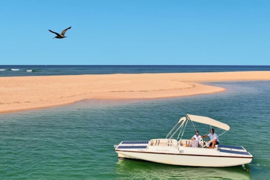 Ria Formosa: Ecological Boat Tour with Bird Watching from Faro, at Faro Cruises, Faro